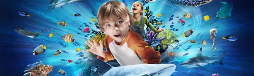 Sealife Discounts