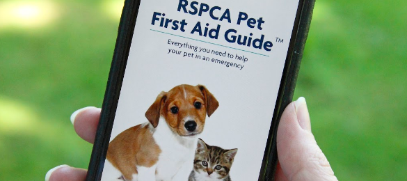 FREE RSPCA Pet First Aid Guide