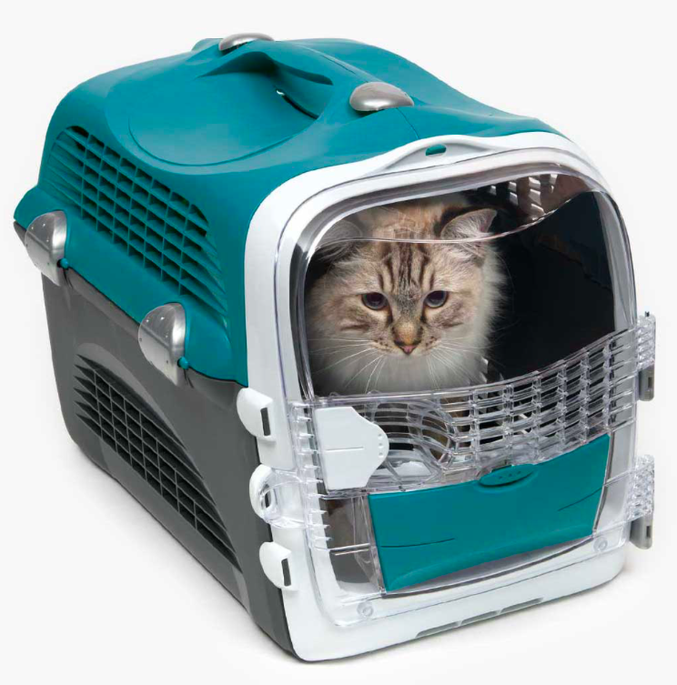 Free Cat Carrier Free Stuff UK