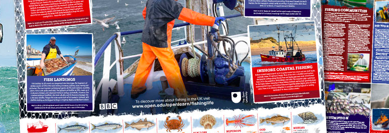 Free Fishing Poster