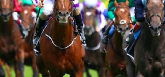 Royal Ascot Bet 10 Get 30 In Free Bets Plus 20 Free Spins - c56x97v