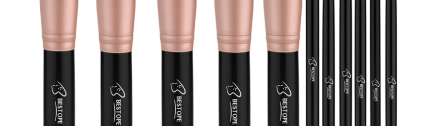 Free Professional Makeup Brush Set