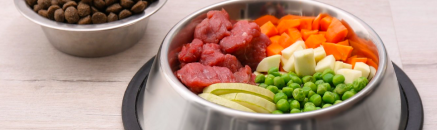 Free Zara’s Kitchen Dog Food