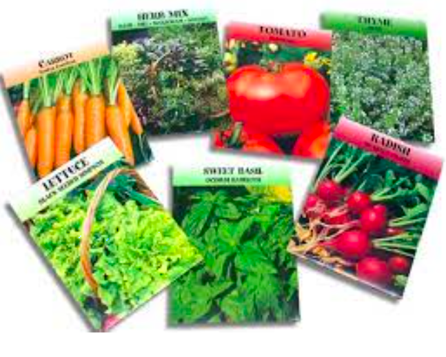 Free Vegetable Seeds Free Stuff UK