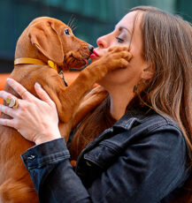 Free Pet Insurance - First Month Free