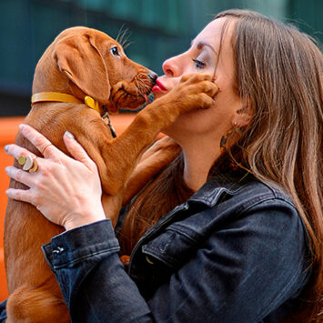 Free Pet Insurance - First Month Free