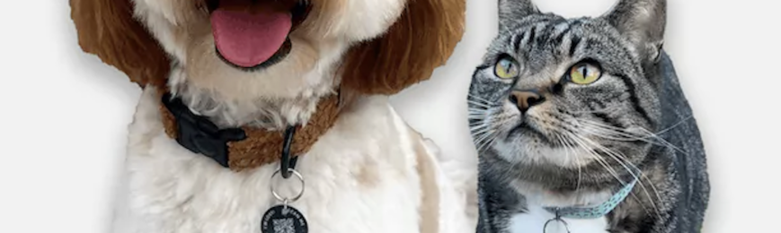 Free Pet Tag (Worth £19.99)