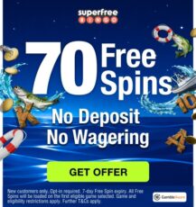70 Free Bingo Spins – No Deposit & No Wagering