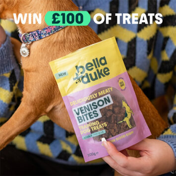 Win a £100 Dog Treat Bundle