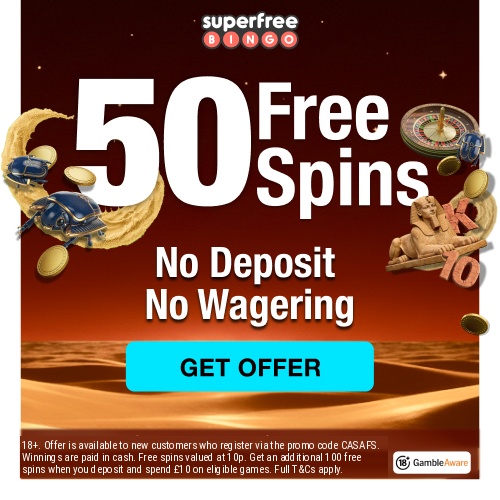 A Look at 50 Free Spins Casino Bingo Promotions