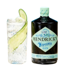 Free-Hendricks-Gin-Tonic-Drink-1024x1024