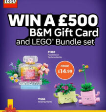 Free B&M Gift Card