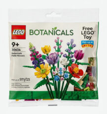 Free LEGO Toy