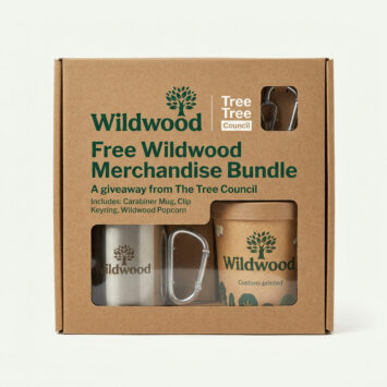 Free Wildwood Merchandise Bundle