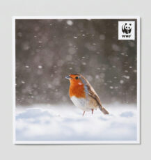Free WWF Christmas Cards